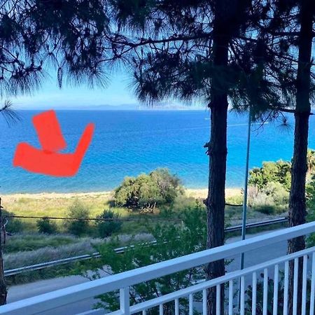 Villa'S Apartment On The Beach, Swimming Pool A/C Палермо Екстериор снимка